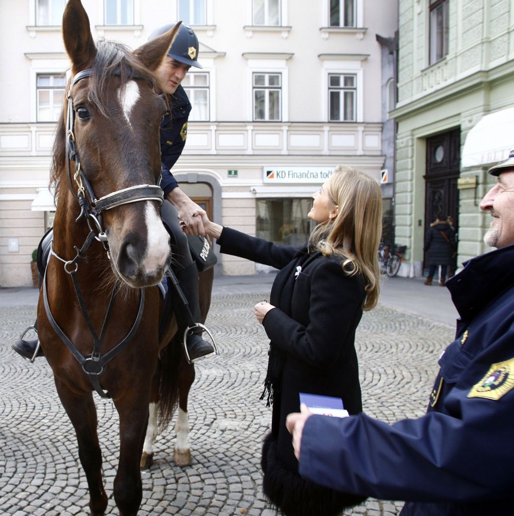 Rodovnik ni pogoj: policija kupuje dva konja in šest psov